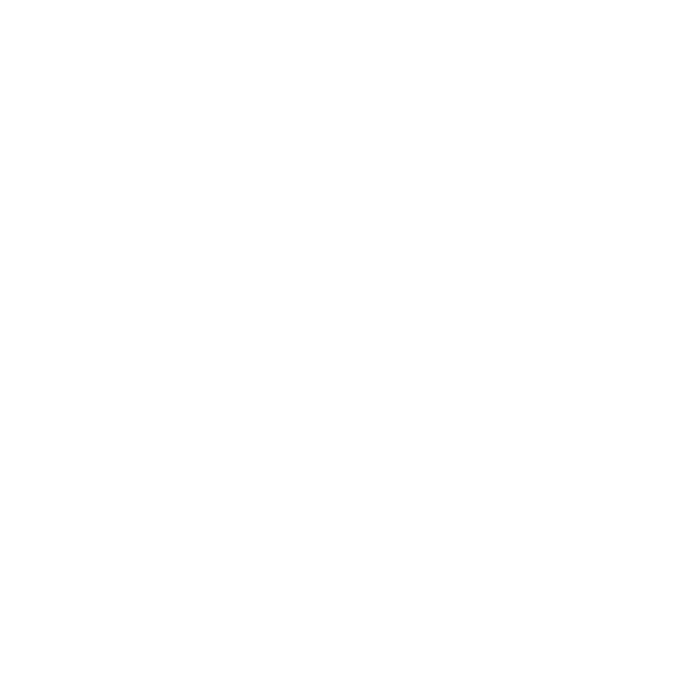TAMU System Seal - white